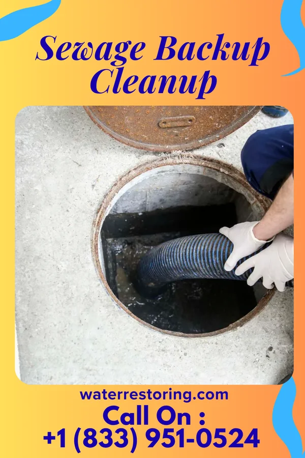 Sewage Backup Cleanup in Biloxi, MS